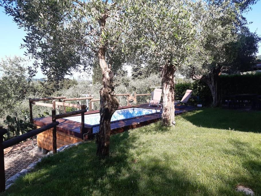 Villa Villacolle Massarosa Exterior photo