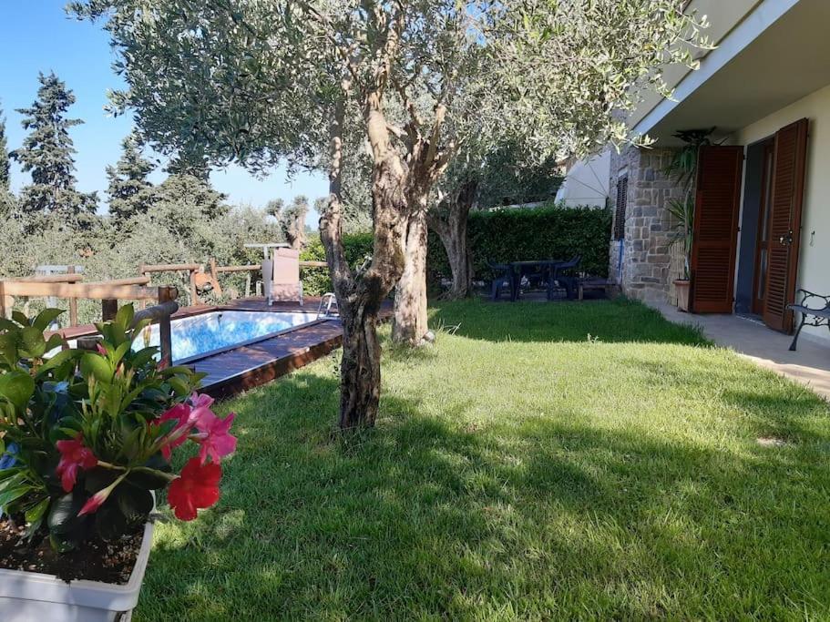 Villa Villacolle Massarosa Exterior photo